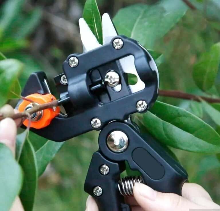 Pruning shears - Tenderyard