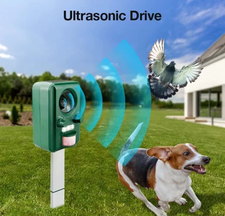Solar-powered ultrasonic animal and bird repeller - Tenderyard