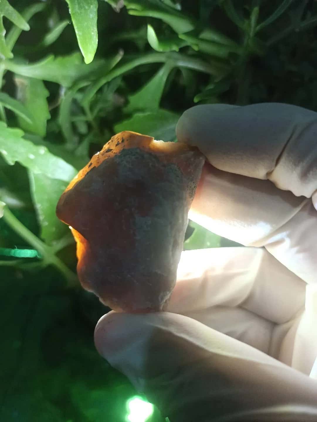 Natural Chalcedony Stone - Tenderyard