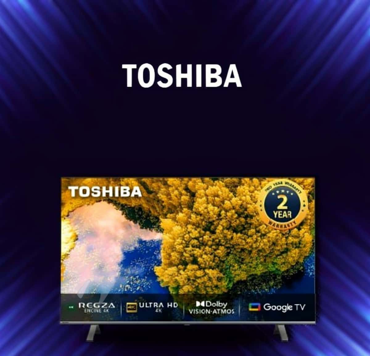 Toshiba TV 65" QLED - Tenderyard
