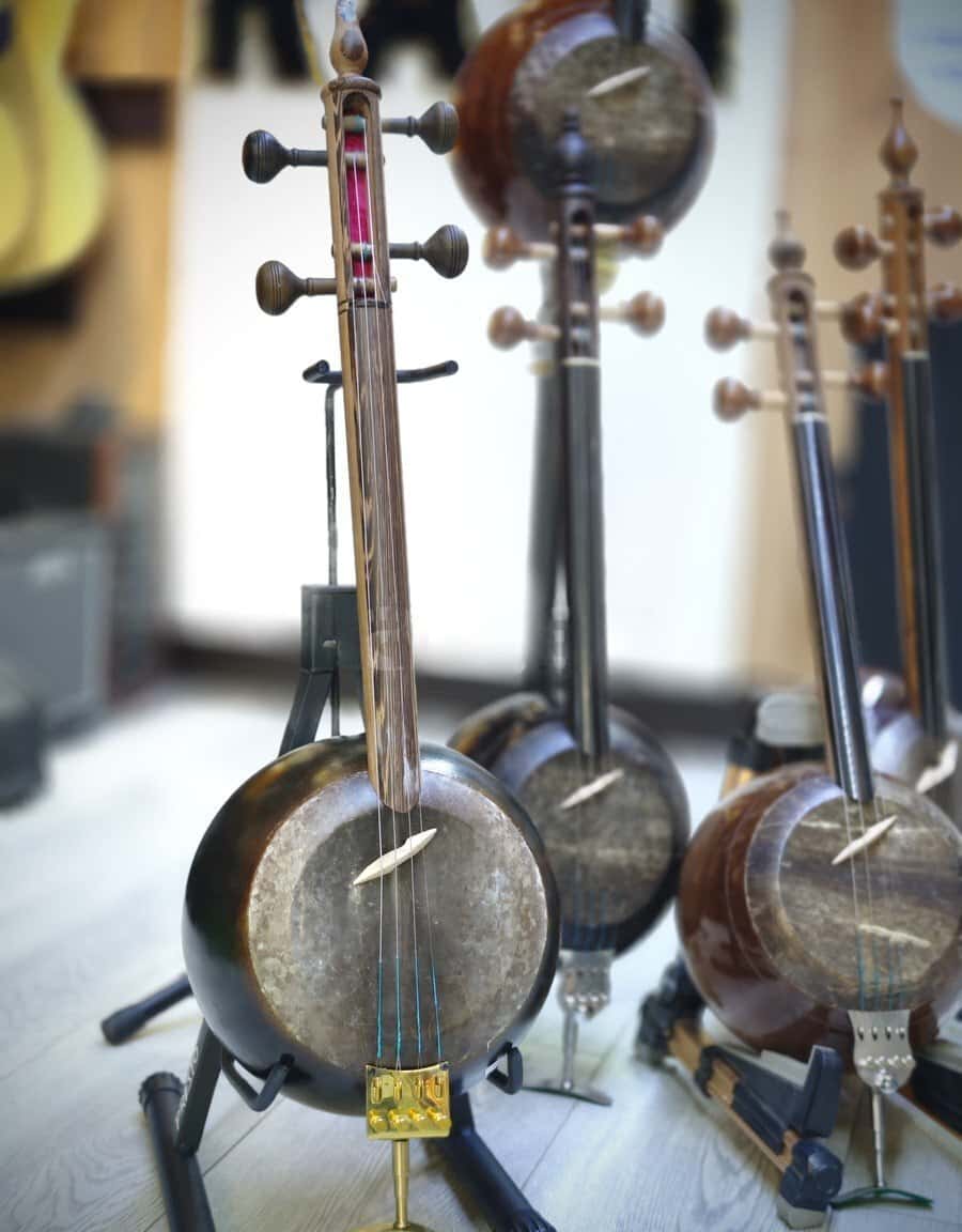 Kamancha mother-of-pearl professional and educational - Tenderyard