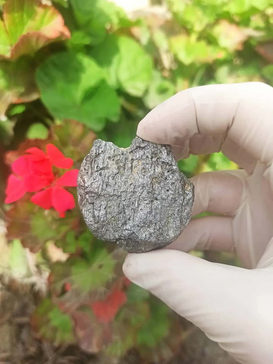 Natural Stone in silver color - Tenderyard
