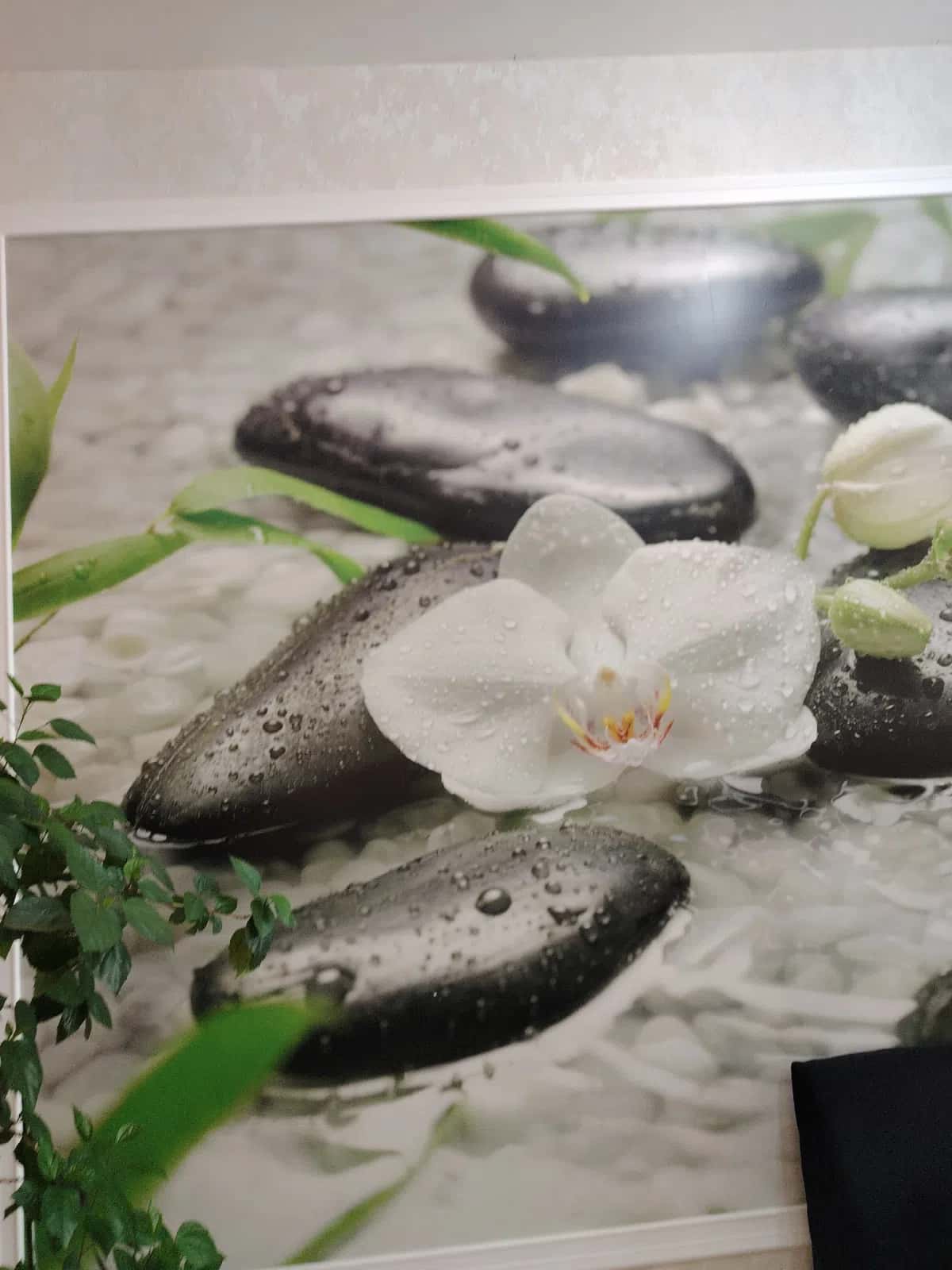 Orxideya və spa daşları təsvirli dekorativ tablo - Tenderyard
