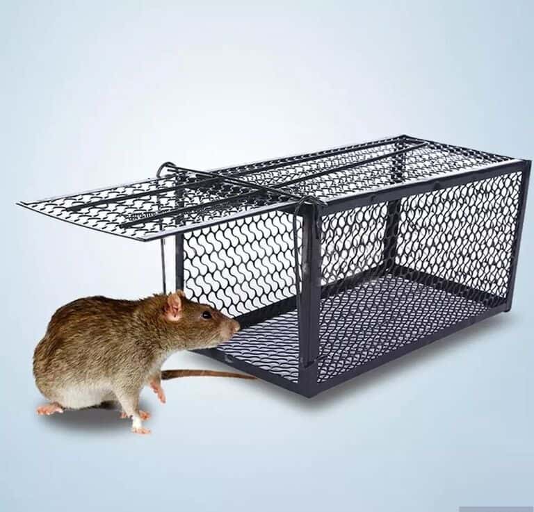 Non-lethal mouse trap - Tenderyard