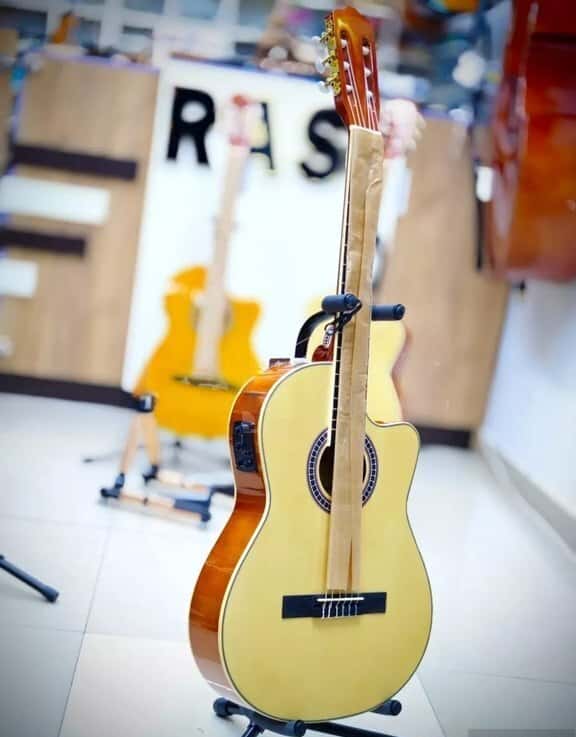 Electro-classical, 6-string - Tenderyard