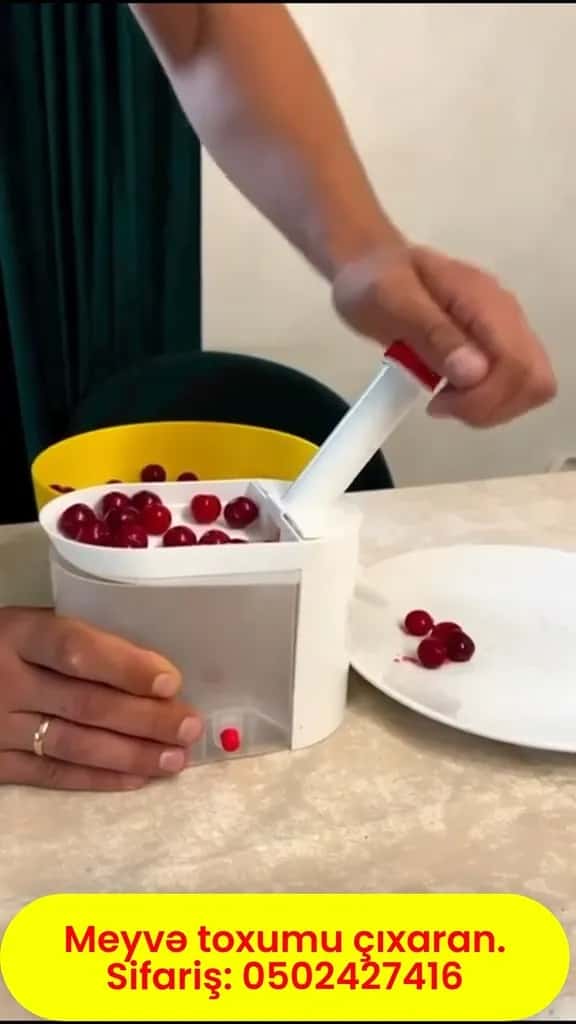 Fruit Pitter (Stone Remover Tool) - Tenderyard