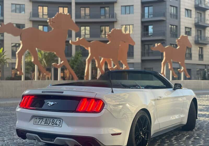 Bəy gəlin maşını Ford Mustang Cabriolet 2017 - Tenderyard
