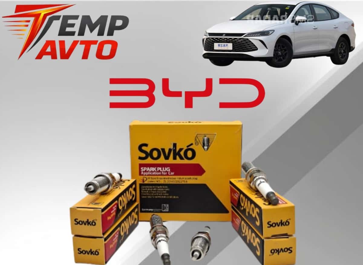 Spark plug for BYD Destroyer 05 and Qin Plus - Tenderyard