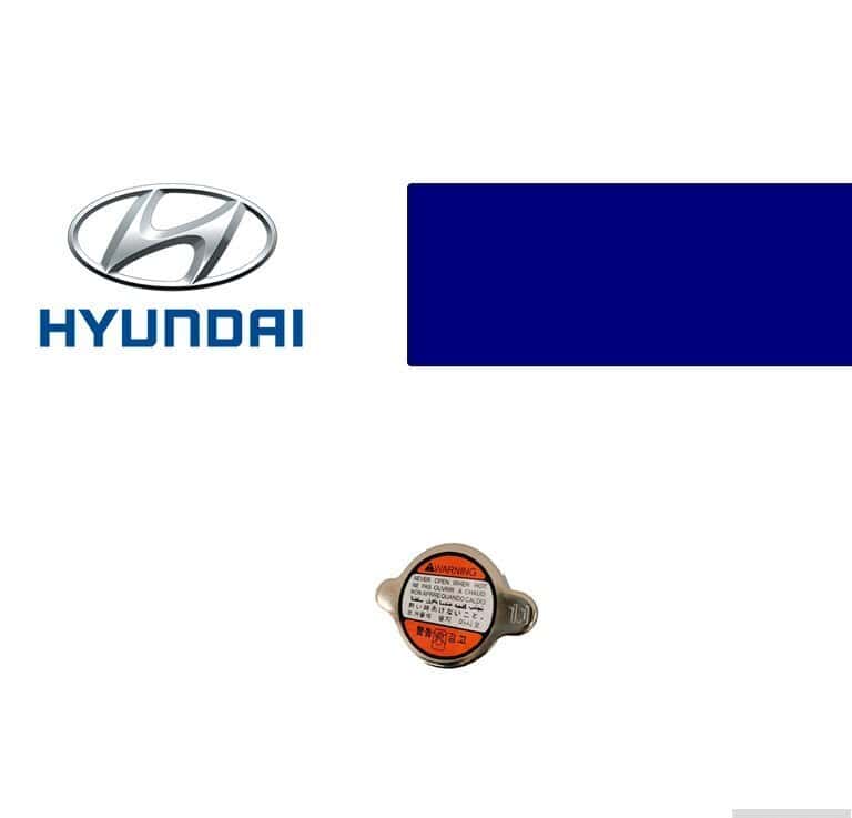 Radiator cap Hyundai 253303k000 - Tenderyard