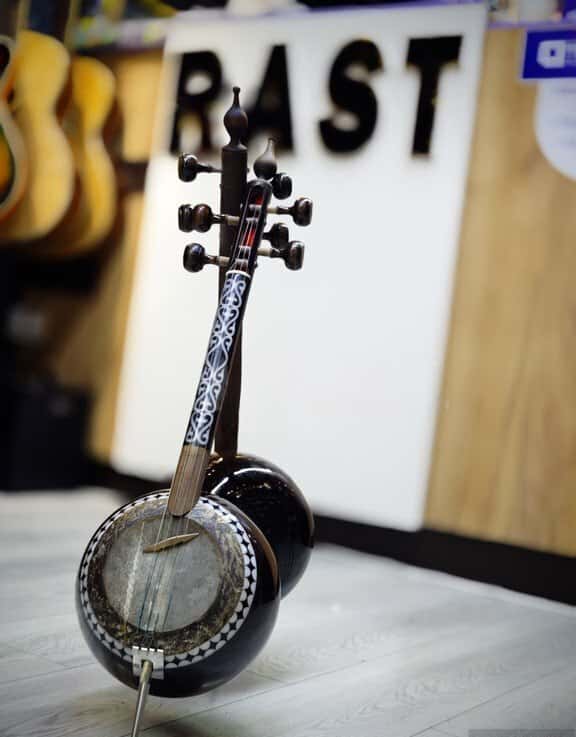 Professional mother-of-pearl Kamancha - Tenderyard