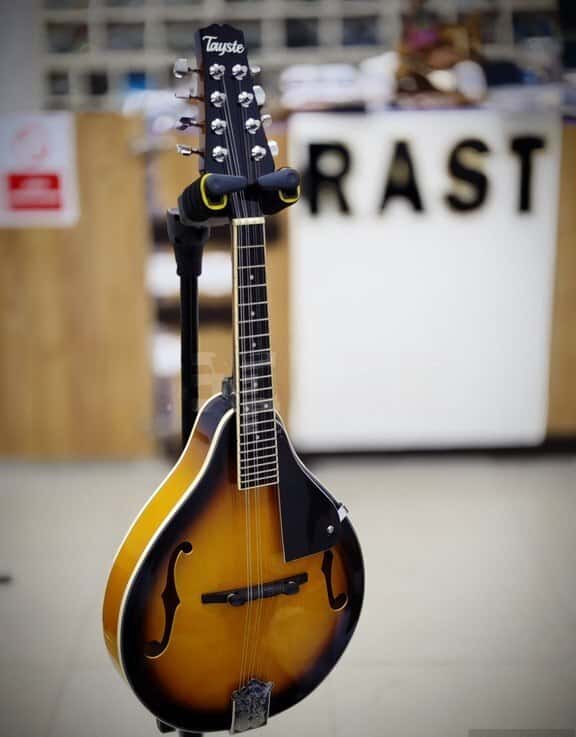 Mandolin Tayste T-MA1 - Tenderyard
