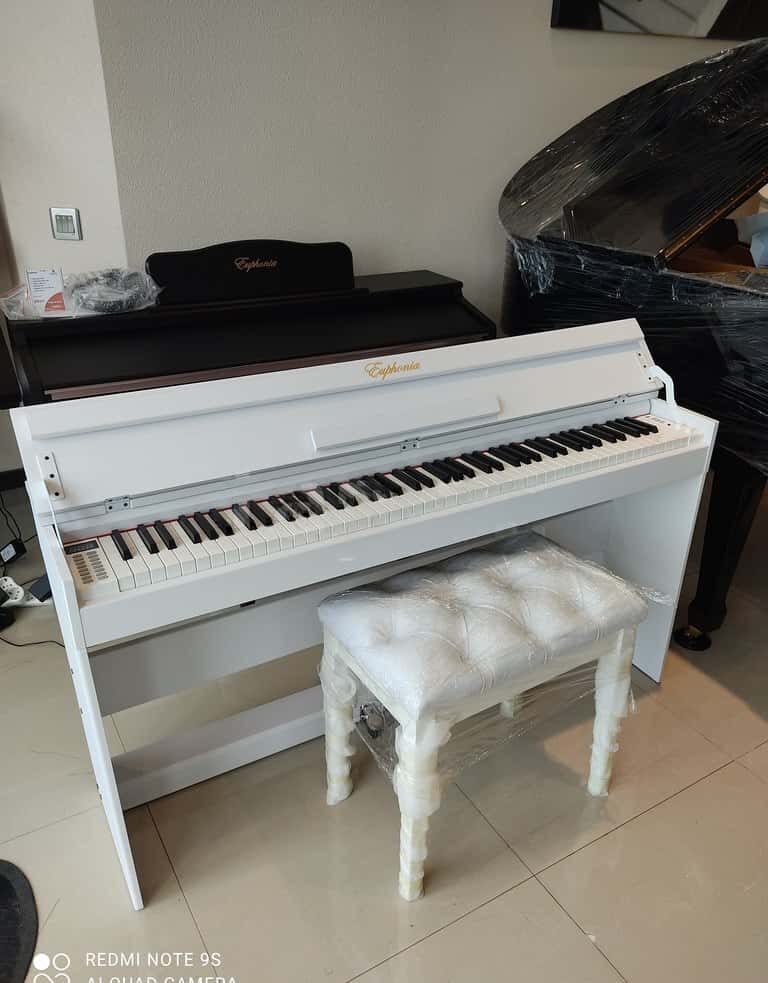 Электронное пианино Euphonia SY8820 - Tenderyard
