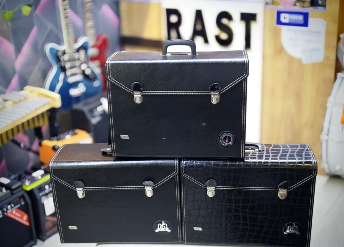 Accordion bag and case - Tenderyard