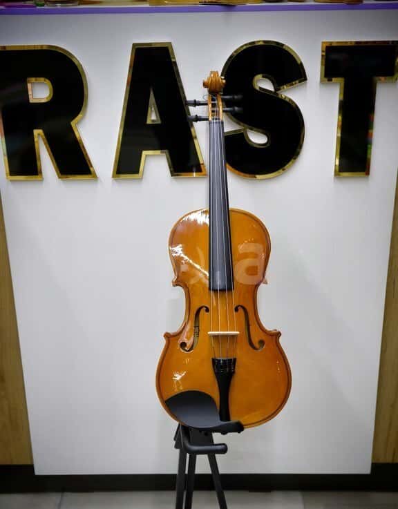 Viola musical instrument full size - Tenderyard