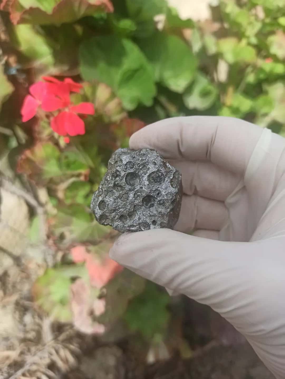 Metallic Collection sample 💎 - Tenderyard