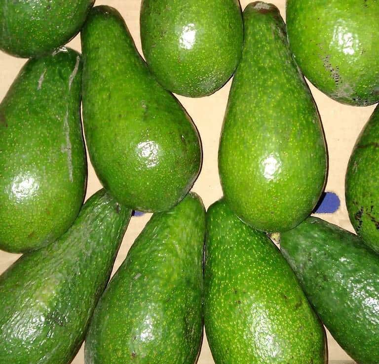 Fresh Hass Avocado Fruit - Tenderyard