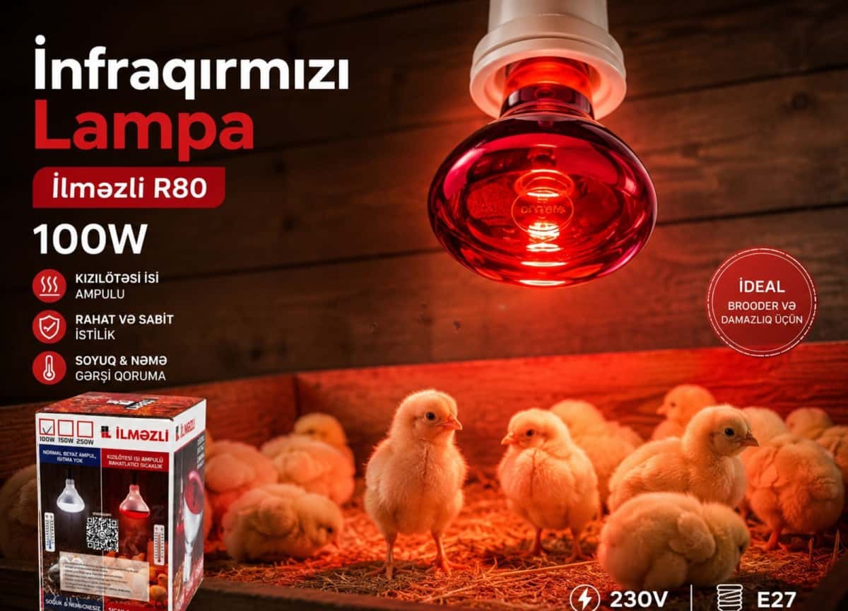 Инфракрасная лампа Ilmezli R80 100W - Tenderyard