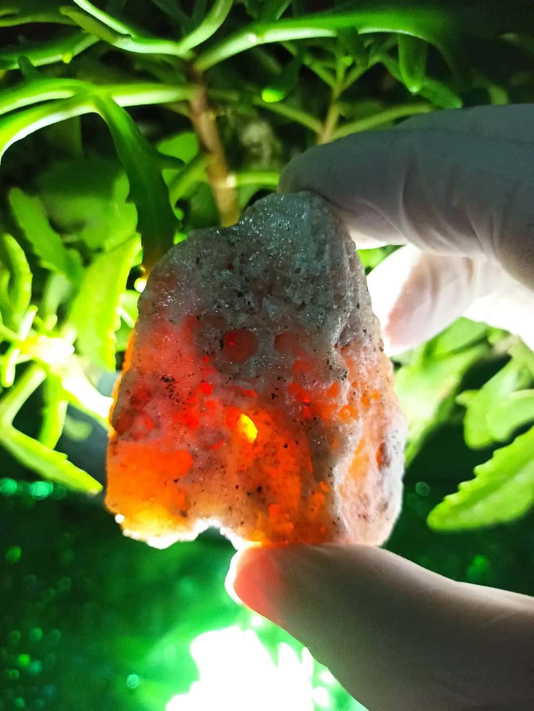 Natural Decorative Quartz stone 😍 - Tenderyard