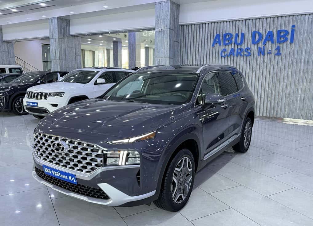 Hyundai Santa Fe, 2022 year, 65300 km, 1600 L - Tenderyard