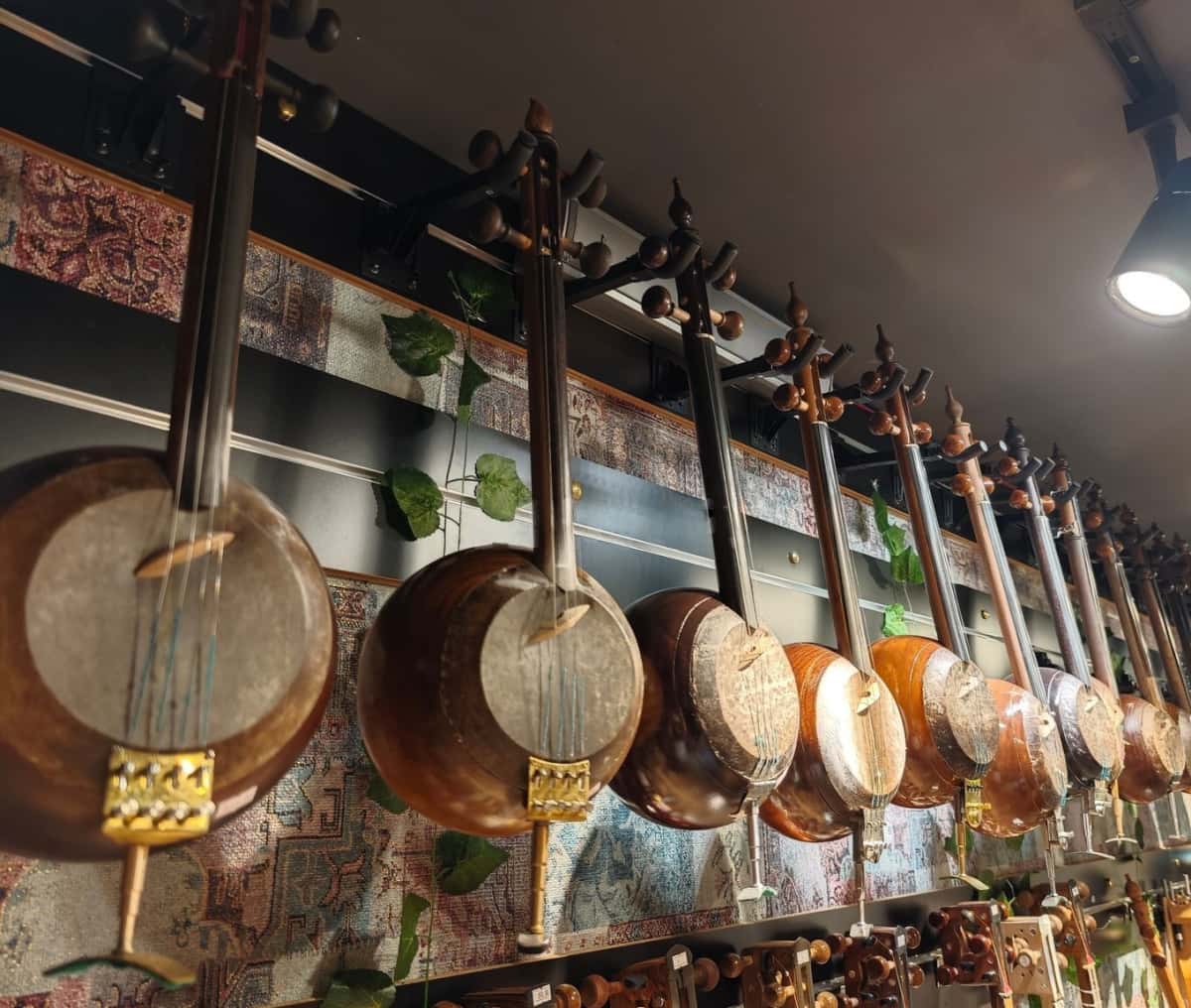 Kamancha national musical instruments - Tenderyard