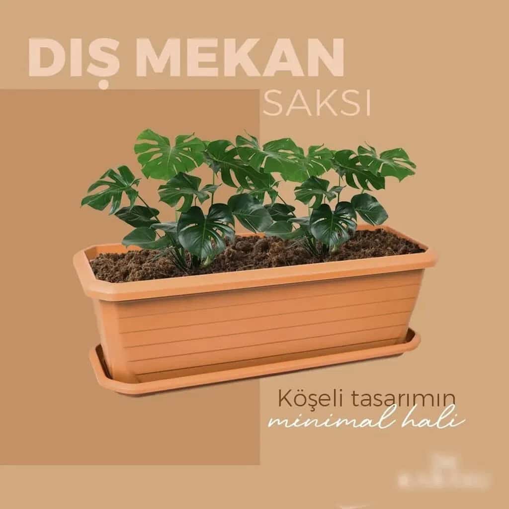 Plastik Dibçək 90x39x37 sm - Tenderyard