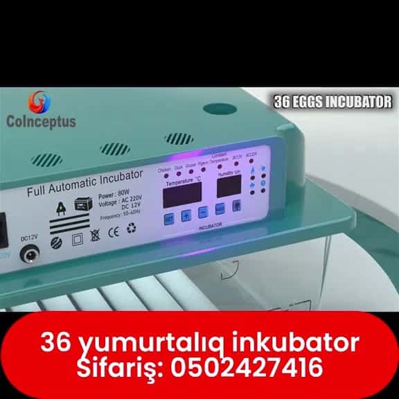 36-egg automatic incubator - Tenderyard