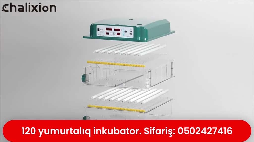 Инкубатор на 120 яиц - Tenderyard