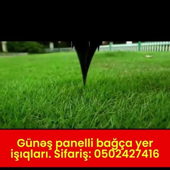 Solar-powered garden lights - Tenderyard