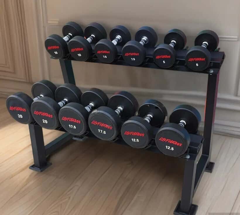 Life Fitness Professional Rubber Dumbbells - Tenderyard