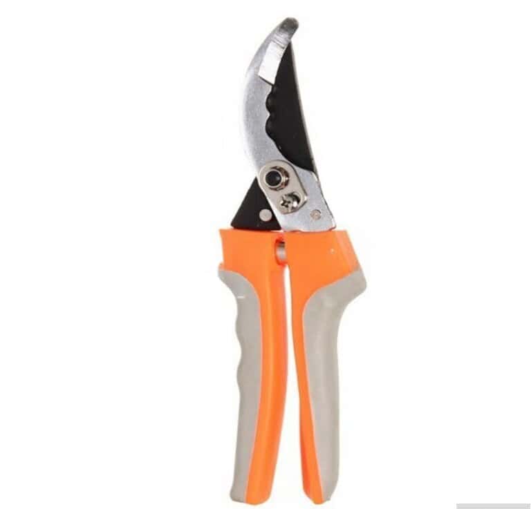 Garden shears - Tenderyard