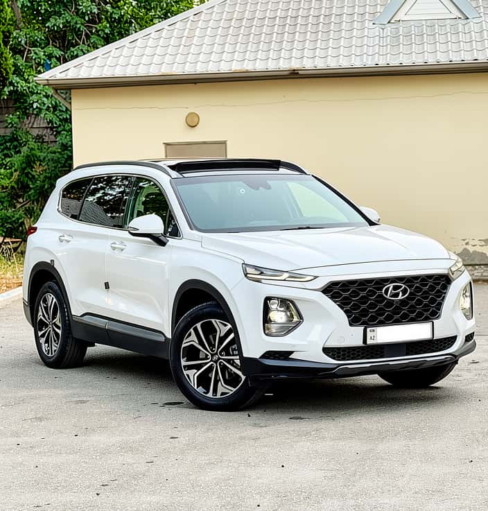 Hyundai Santa Fe, 2018 year, 157 km, 2000 L - Tenderyard