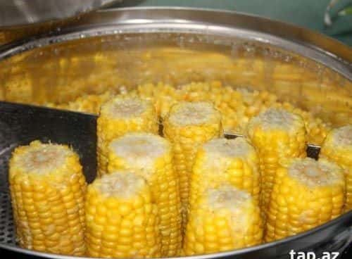 Remta Corn Cooker Machine (22L and 36L) - Tenderyard