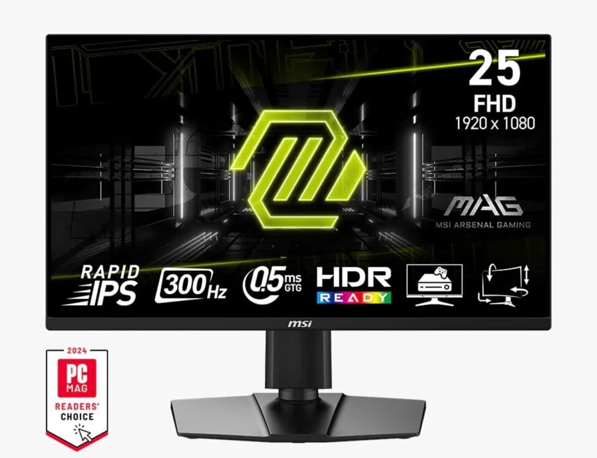 Монитор MSI MAG 255PXF 24.5" FHD 300Hz - Tenderyard