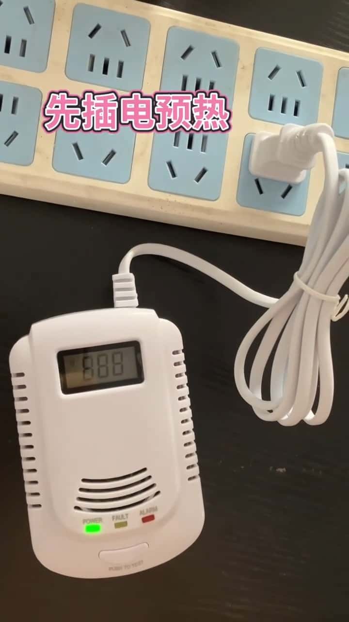 2-in-1 gas leak detector and carbon monoxide sensor - Tenderyard