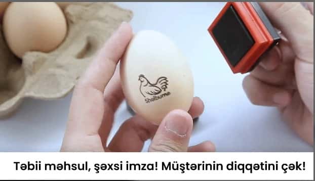 Personal brand egg stamp - Tenderyard