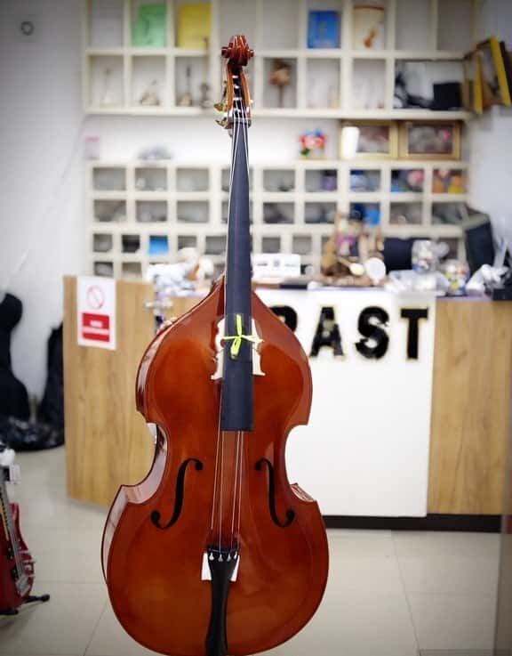 Double Bass Tayste R-B10 - Tenderyard