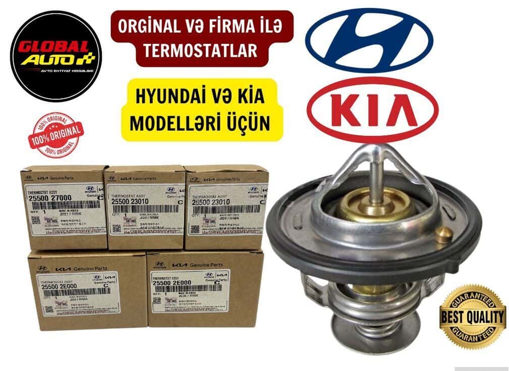 Thermostat for Hyundai and Kia models - Tenderyard