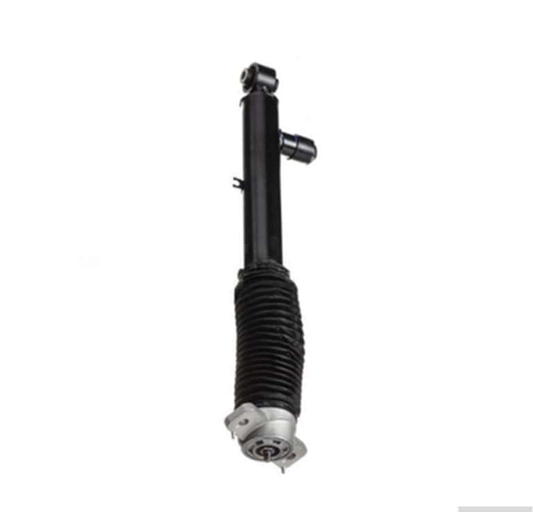 Rear shock absorber Zeekr 001 left - Tenderyard
