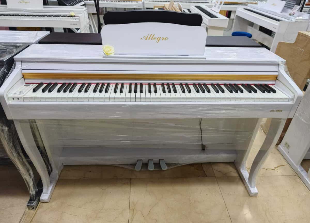 Electronic piano Allegro 8808 - Tenderyard