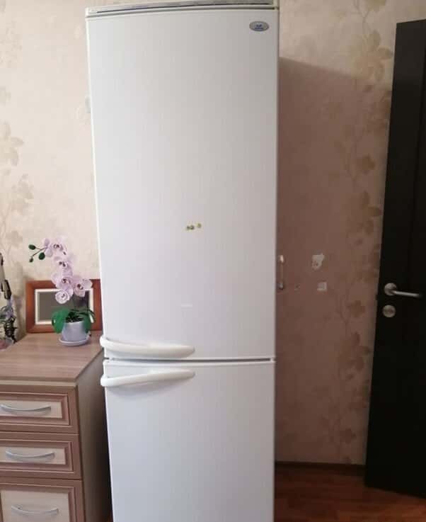 Indesit refrigerator - Tenderyard