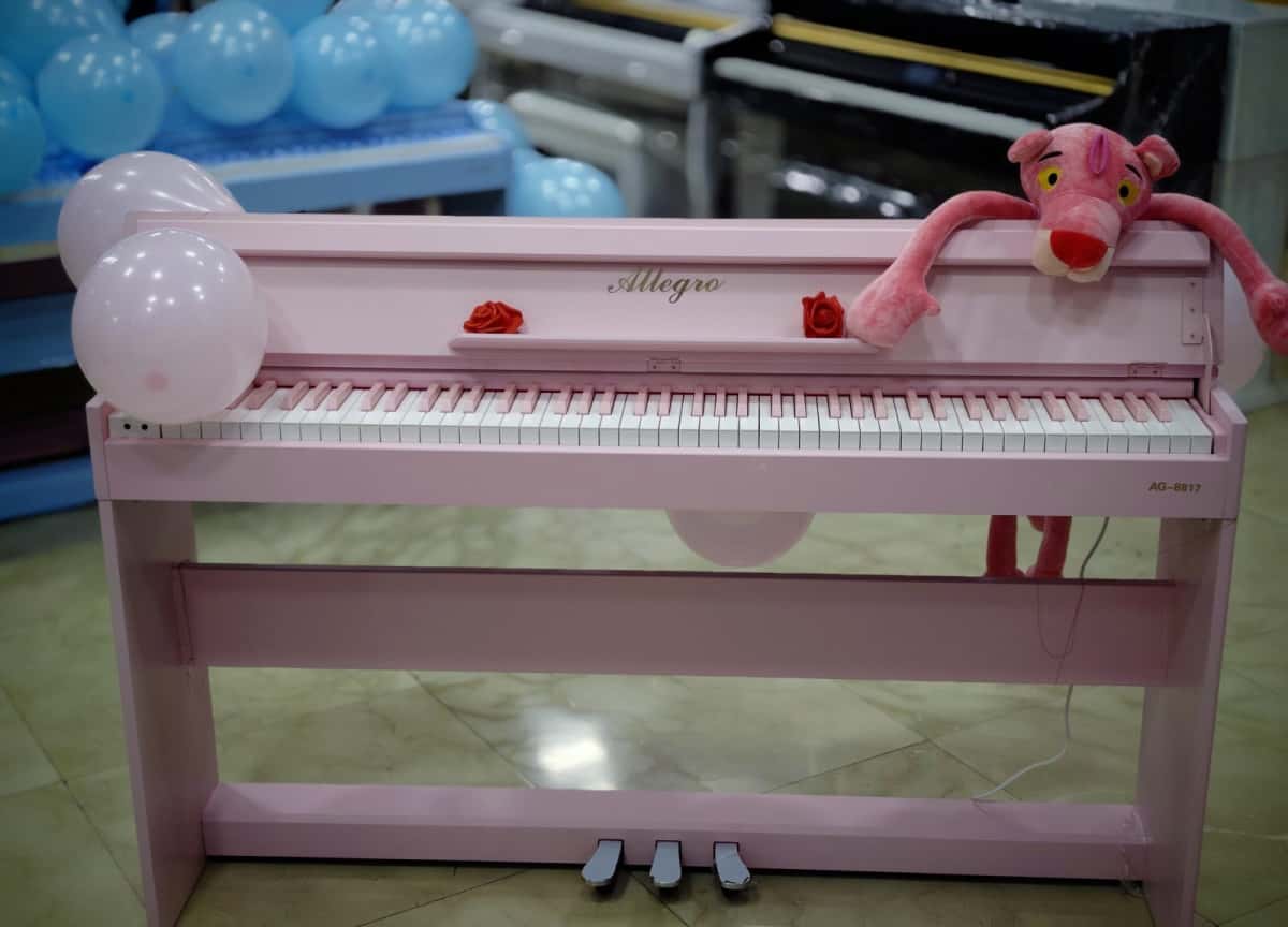 Electronic piano Allegro 8812 white - Tenderyard
