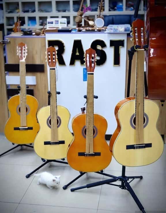 Classical guitar, 6-string - Tenderyard