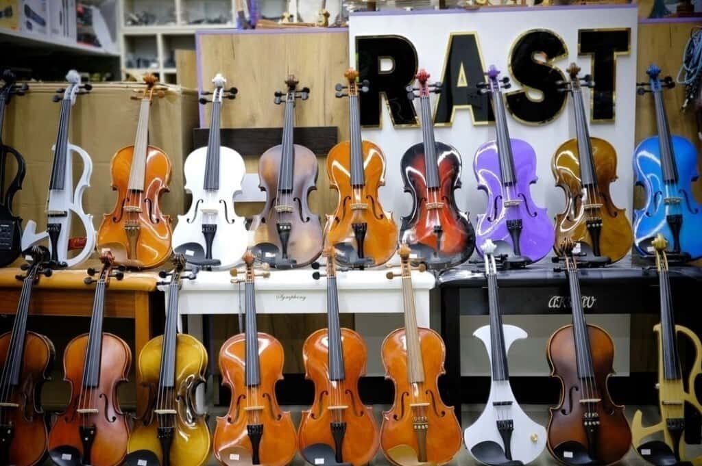 Violin various models and brands - Tenderyard