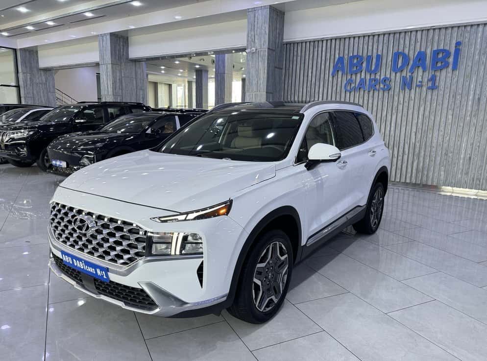 Hyundai Santa Fe, 2023 year, 71400 km, 1600 L - Tenderyard