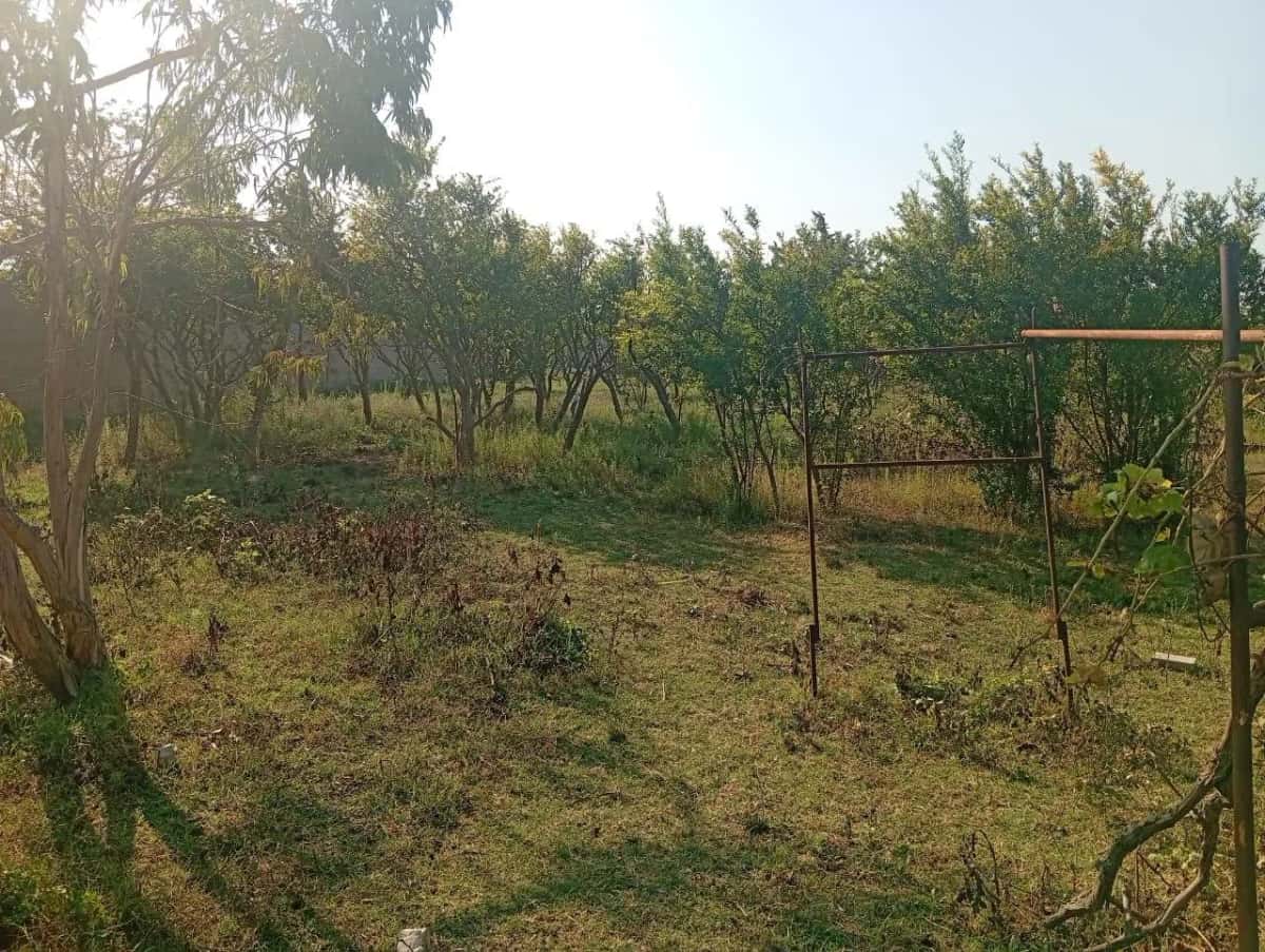 21 sot torpaq sahəsi satılır - Tenderyard