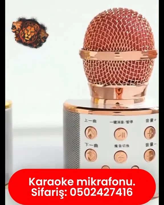 Karaoke microphone, portable, with Bluetooth connection - Tenderyard