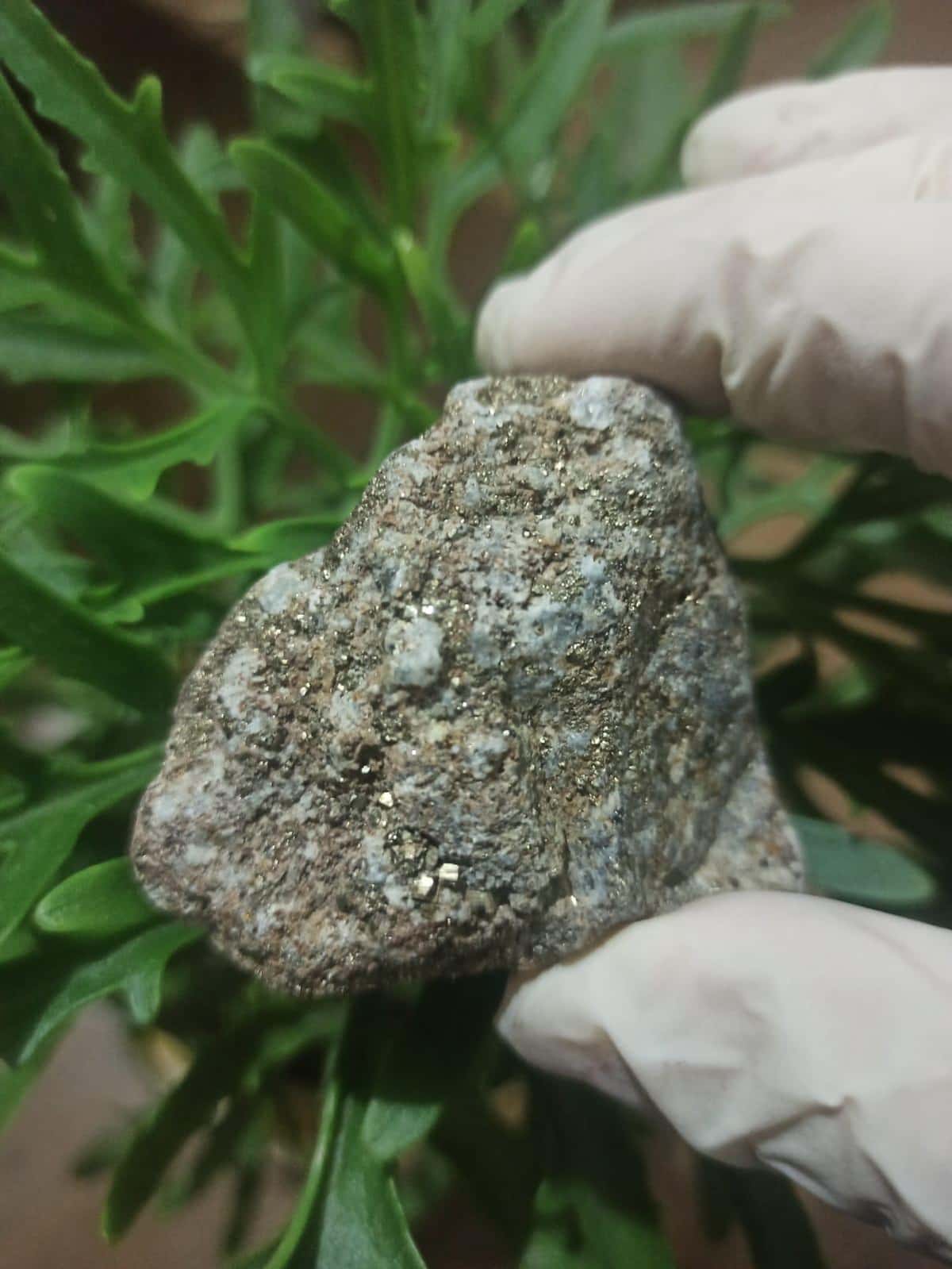 Natural Pyrite stone - Tenderyard
