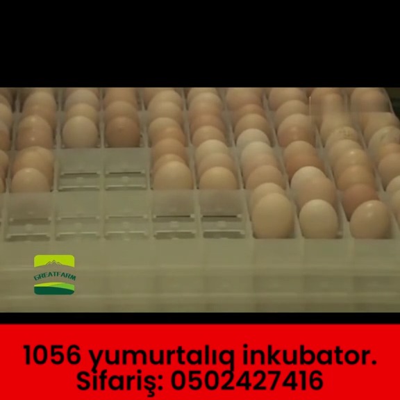 1056 yumurtalıq tam avtomatik inkubator - Tenderyard