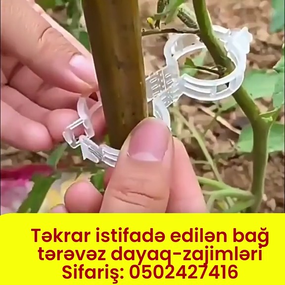 Təkrar istifadə olunan bağ tərəvəz dayaq-zajimləri - Tenderyard