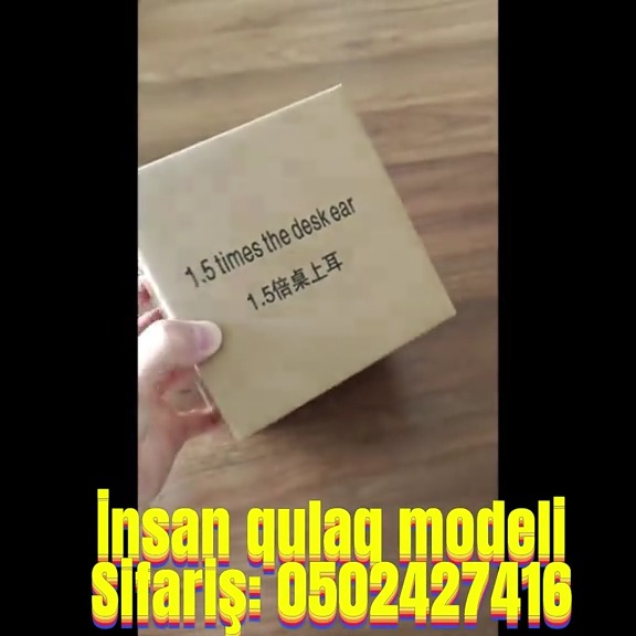 Human ear model - Tenderyard